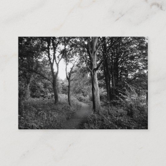 Woods Bute Park, Cardiff, Mini-Foto Visitenkarte (Vorderseite)