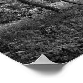 Woods Bute Park, Cardiff Poster (Ecke)