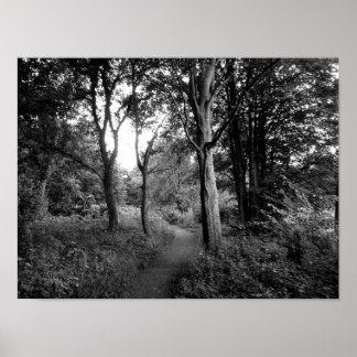 Woods Bute Park, Cardiff Poster