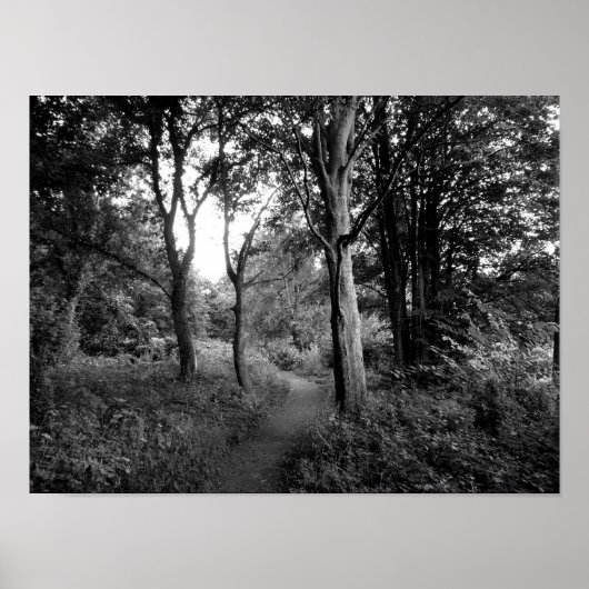 Woods Bute Park, Cardiff Poster (Vorne)