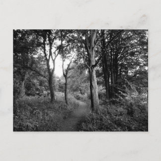 Woods Bute Park, Cardiff Postkarte