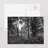 Woods Bute Park, Cardiff Postkarte (Vorne/Hinten)