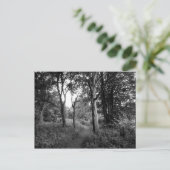 Woods Bute Park, Cardiff Postkarte (Stehend Vorderseite)