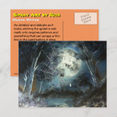 Woods Spider Postkarte (Vorne/Hinten)
