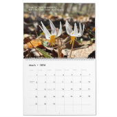 Woods Walking 2026 Calendar Kalender (Mär 2026)