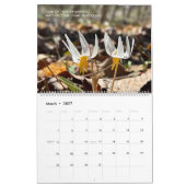 Woods Walking 2026 Calendar Kalender (Mär 2027)