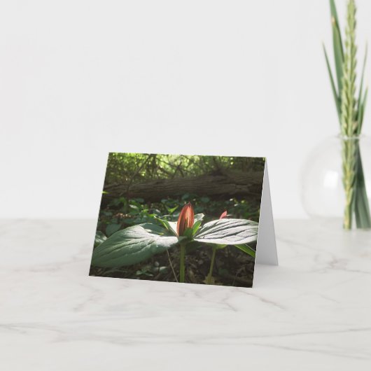 Woods Walking Trillium Danke Karten (Vorderseite)