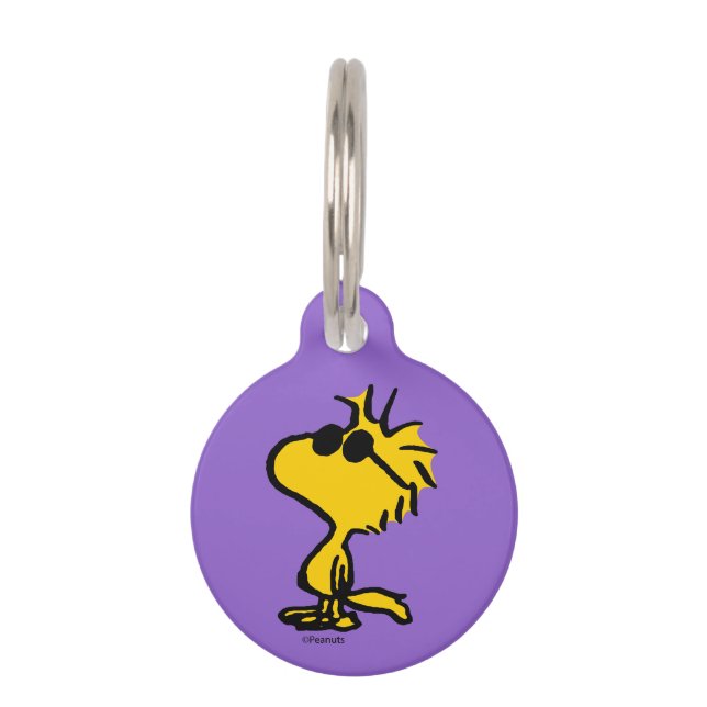 Woodstock Cool Sunglasses Pattern Haustiermarke (Vorderseite)