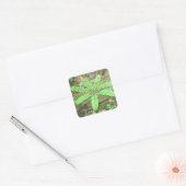 Woodsy Fern Sticker (Umschlag)