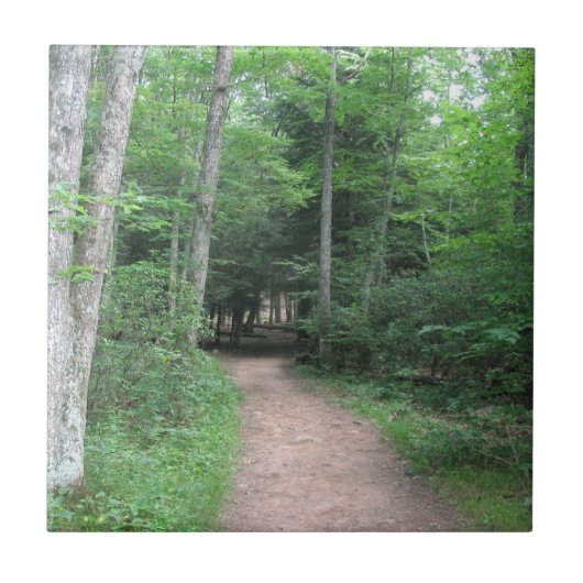 Woodsy Trail Fliese (Vorderseite)