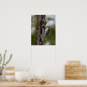 Woody Poster (Küche)