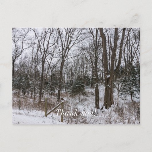 Woody Snow Day Postkarte (Vorderseite)