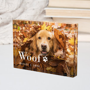 Woof Foto Ihres Hundes und eine Paw-Druck