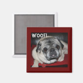 Woof, Mops Magnet (Vorderseite/Rückseite)