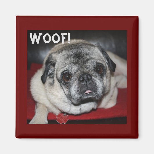 Woof, Mops Magnet (Vorne)