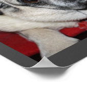 Woof, Mops Poster (Ecke)