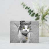 Woof Postkarte (Stehend Vorderseite)