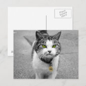 Woof Postkarte (Vorne/Hinten)