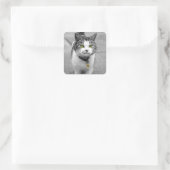 Woof Quadratischer Aufkleber (Tasche)