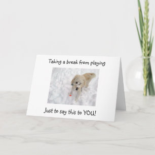 WOOF WOOF "50" SIEHT GUT AUS AUF DER GEBURTSTAGSKA KARTE