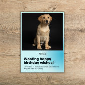 Woofy Birthday Labrador Card Karte