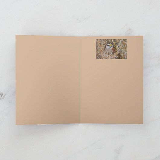 Wool Nesters Card Karte (Innenseite)