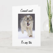 WOOLFISCHE FABULOUS BEI "40" WOLF GREETING CARD KARTE (Vorderseite)