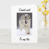 WOOLFISCHE FABULOUS BEI "40" WOLF GREETING CARD KARTE (Gelbe Blume)