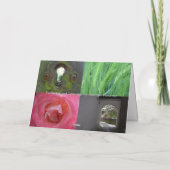 Woollabyrinth: Schafweiden in einer Pastoralszene Karte (Rückseite)