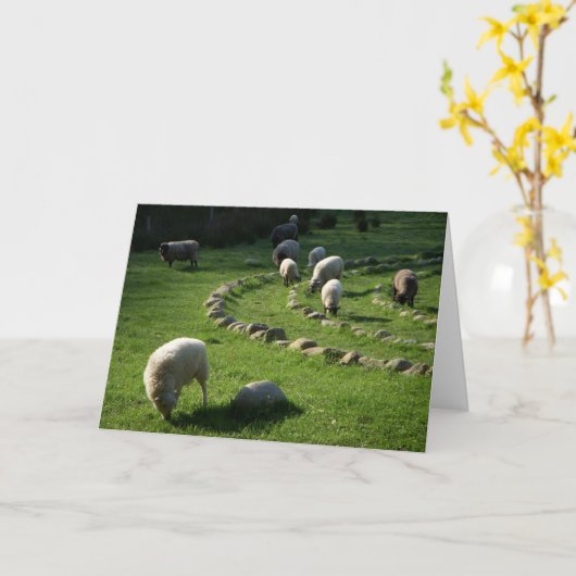Woollabyrinth: Schafweiden in einer Pastoralszene Karte (Gelbe Blume)