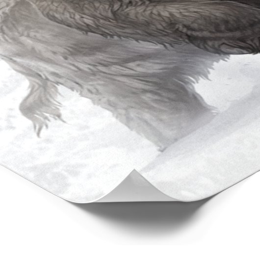 Woolmammut Prähistorisches Tiereiszeitalter Poster (Ecke)