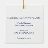 Wooly Bluecurls Keramikornament (Rückseite)