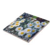 Wooly-Daisy-Wildblumen Fliese (Seite)