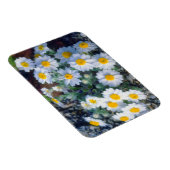 Wooly Daisy Wildblumen Magnet (Rechte Seite)