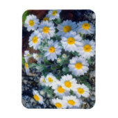 Wooly Daisy Wildblumen Magnet (Vertikal)