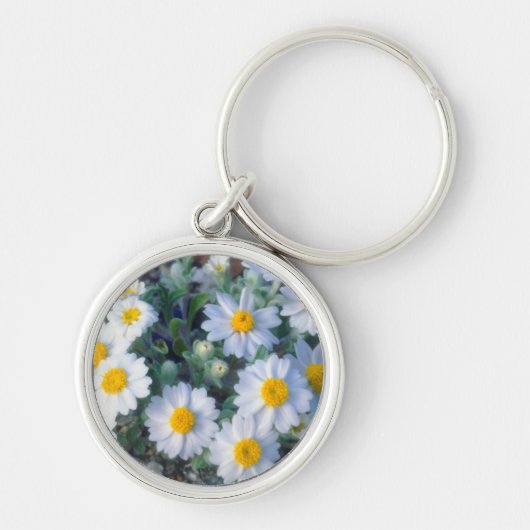 Wooly-Daisy-Wildblumen Schlüsselanhänger (Vorne)