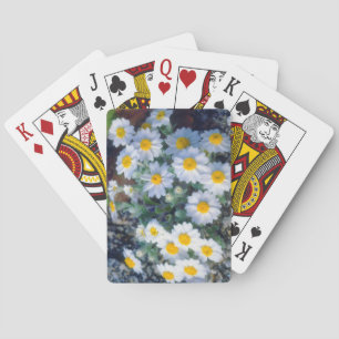 Wooly-Daisy-Wildblumen Spielkarten