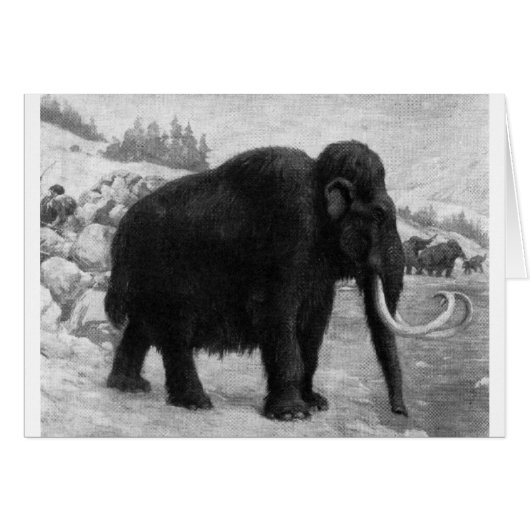 Wooly Mammoth Mod Destiny (Vorderseite (Horizontal))