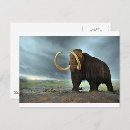 Wooly Mammoth Mod Destiny Postkarte (Vorne/Hinten)