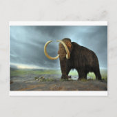 Wooly Mammoth Mod Destiny Postkarte (Vorderseite)