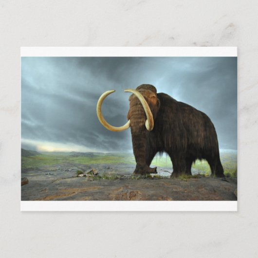 Wooly Mammoth Mod Destiny Postkarte (Vorderseite)