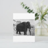 Wooly Mammoth Mod Destiny Postkarte (Stehend Vorderseite)