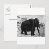 Wooly Mammoth Mod Destiny Postkarte (Vorne/Hinten)