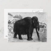 Wooly Mammoth Mod Destiny Postkarte (Vorne/Hinten)