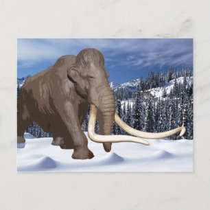 Wooly Mammoth Postcard Postkarte