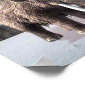 Wooly Mammoth Poster (Ecke)