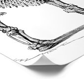 Wooly Mammoth Poster (Ecke)