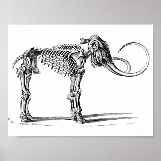Wooly Mammoth Poster (Vorne)