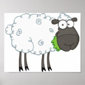Wooly Sheep Poster (Vorne)