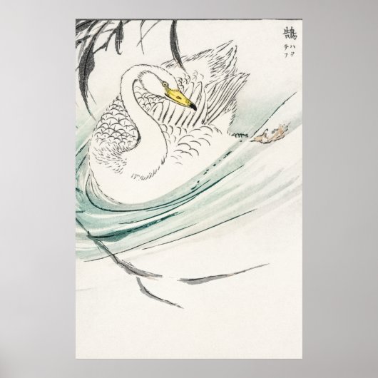 Wooper-Schwan-Illustration. Poster (Vorne)